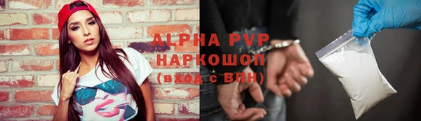 гашик Осинники