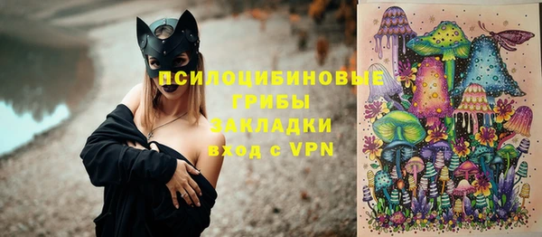 ALPHA PVP Переславль-Залесский