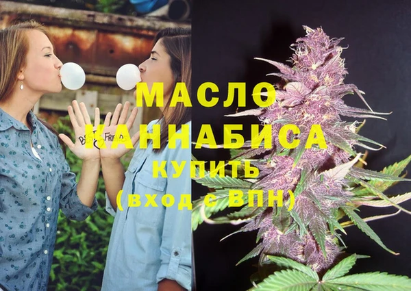 гашик Осинники