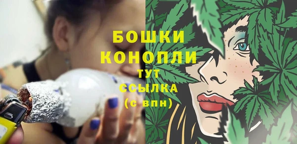 2c-b Пересвет
